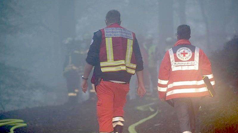 Einsatzkräfte in einem Wald bei Itterbach im Siebengebirge. Laut Polizei starben dort bei dem Absturz eines Kleinflugzeugs zwei Menschen. Foto: Thomas Banneyer/dpa