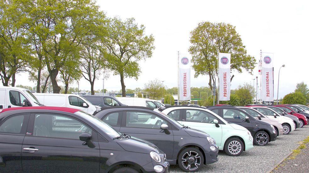 Der Fiat 500 ist ein sehr beliebtes Modell der italienischen Automarke. Im Autozentrum Nord gibt es eine große Auswahl. Foto: privat