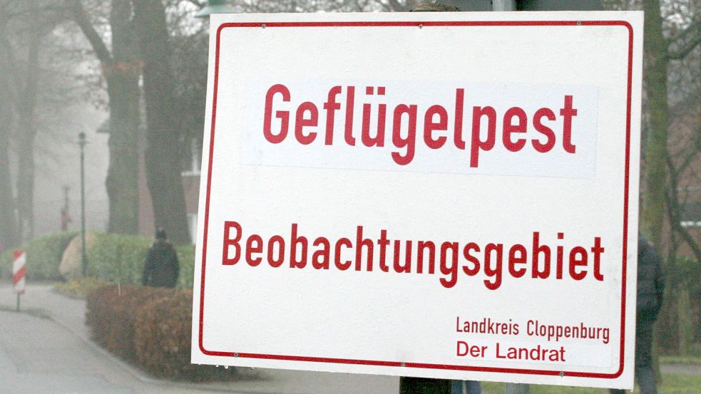 Der Landkreis Leer empfiehlt, sich auf eine Aufstallpflicht vorzubereiten. Foto: Archiv