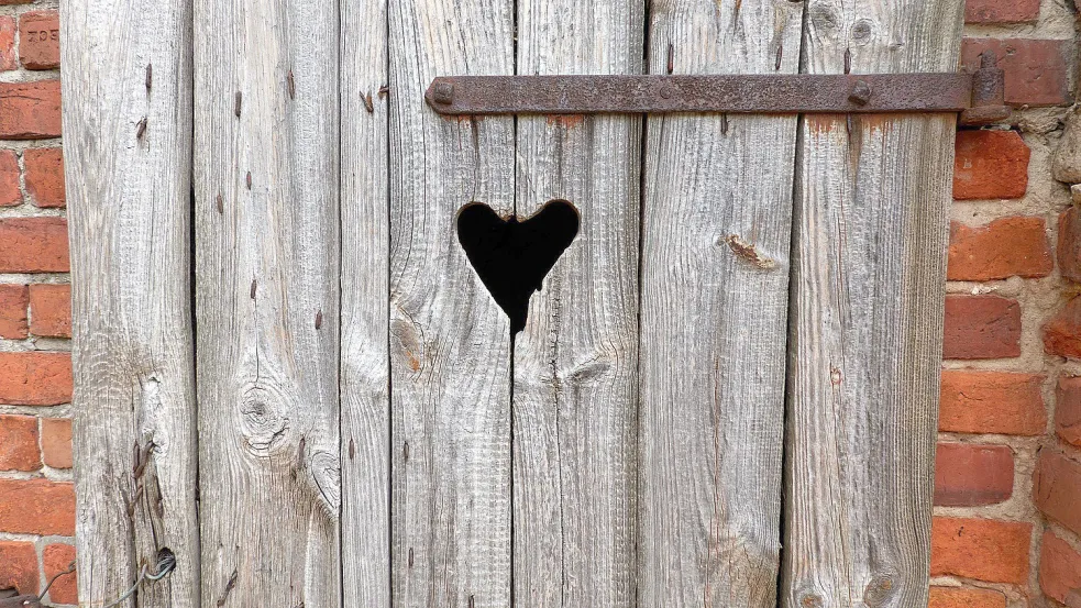 Die Zeit der Plumpsklos dürfte auch in Ostfriesland vorbei sein. Foto: Wolter/Pixabay