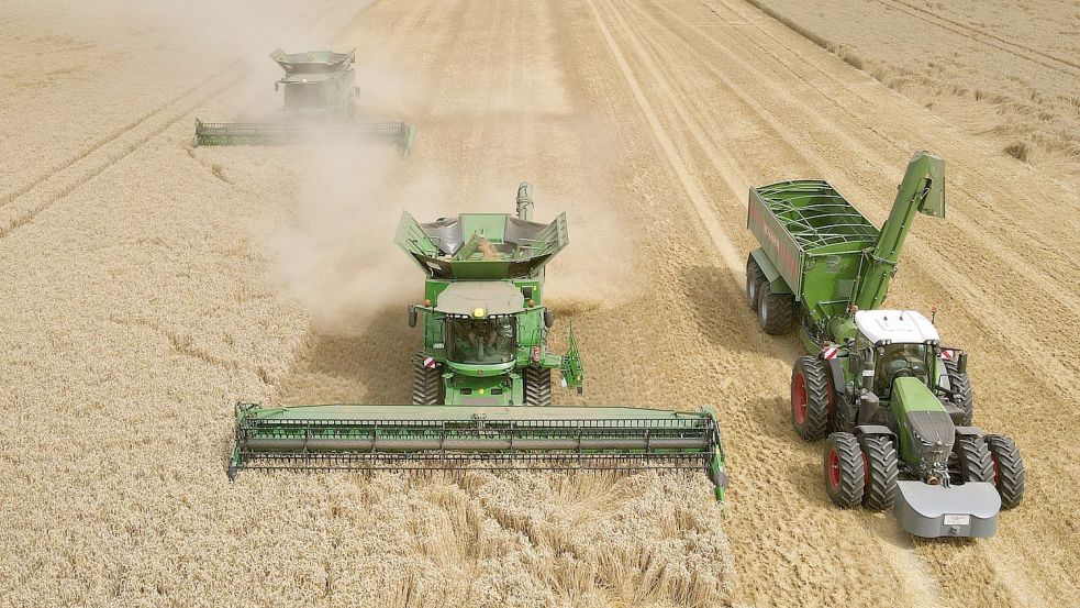 Ernte in Mecklenburg-Vorpommern im großen Maßstab: Die Ampel-Koalition will den Anteil des Bio-Anbaus in der Landwirtschaft auf 30 Prozent anheben. Foto: Bernd Wüstneck/dpa