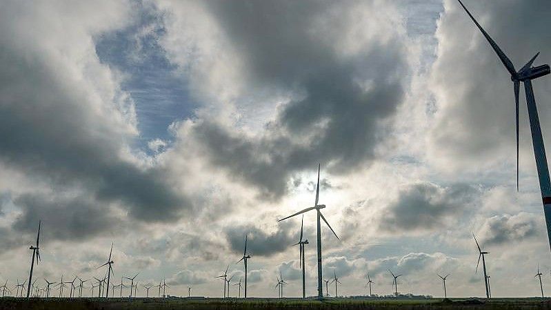 Windräder drehen sich in einem Windfeld am Hauke-Haien-Koog an einem Deich der Nordseeküste. Foto: Axel Heimken/dpa