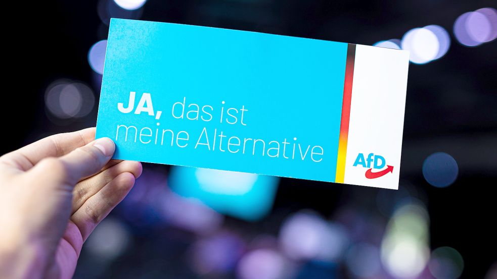 Eine Stimmkarte der AfD. Foto: Frankenberg/dpa