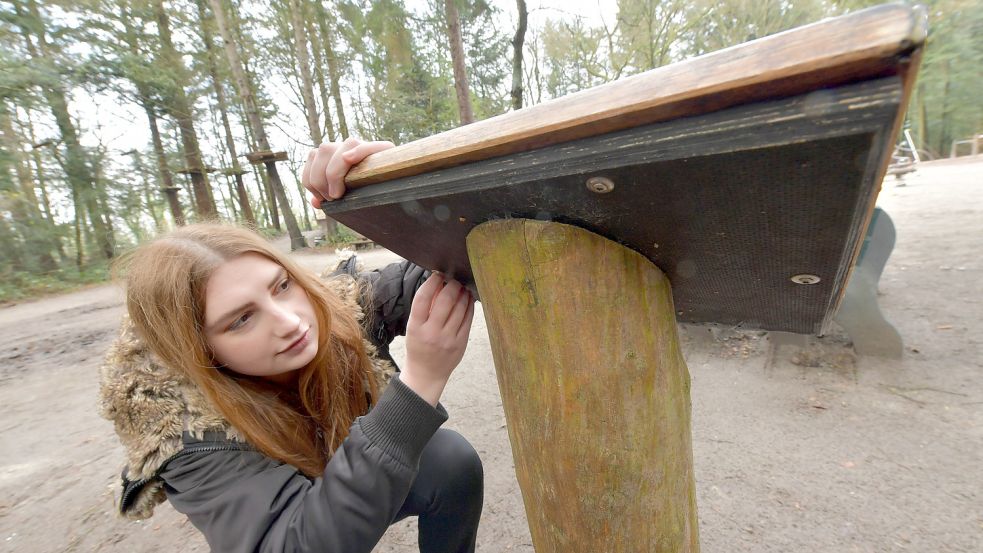 Um die Schautafeln zu öffnen, müssen sechs Schrauben gelöst werden. Foto: Ortgies