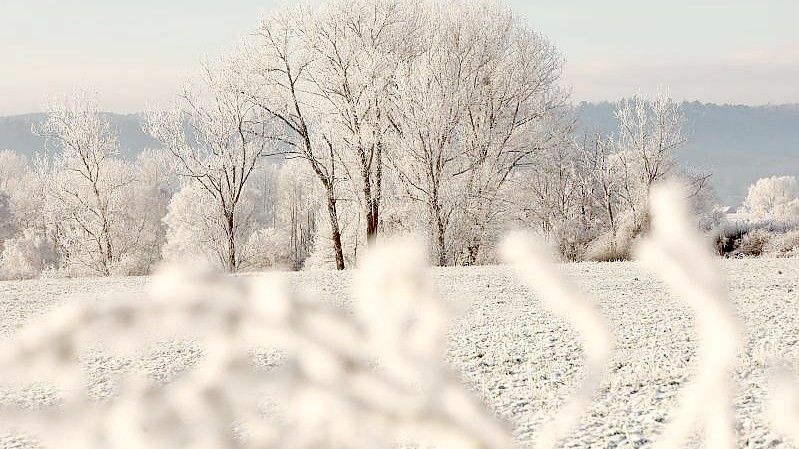 Der Harz - eine Winterlandschaft. Foto: Matthias Bein/dpa-Zentralbild/ZB