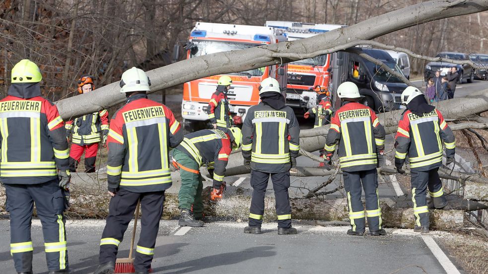 Sturmtief Ylenia hat nicht nur wie hier im Harz zu zahlreichen Verkehrsbehinderungen durch umgestürzte Bäume geführt. Foto: dpa/Matthias Bein