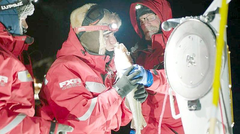 Das Forschungsteam mit einem Kabeljau an Bord der „Polarstern“. Foto: UFA Show & Factual, Germany/dpa