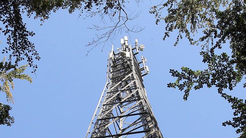 Ein Funkturm in einem Waldstück. Foto: Bernd Wüstneck/dpa-Zentralbild/dpa