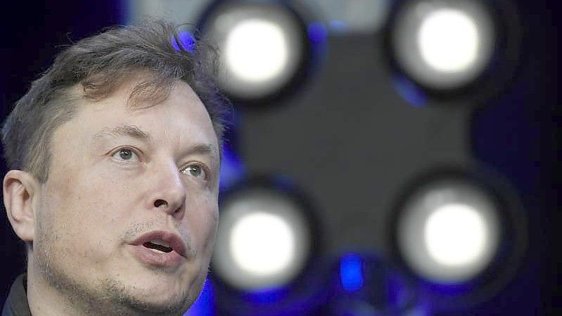 Elon Musk spricht auf einer Konferenz in Washington DC. Foto: Susan Walsh/AP/dpa