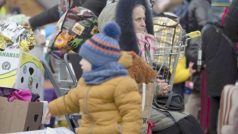 Fordert einen Flüchtlingsgipfel mit Bund und Ländern: Helmut Dedy vom Deutschen Städtetag. Foto: Britta Pedersen/dpa-Zentralbild/dpa