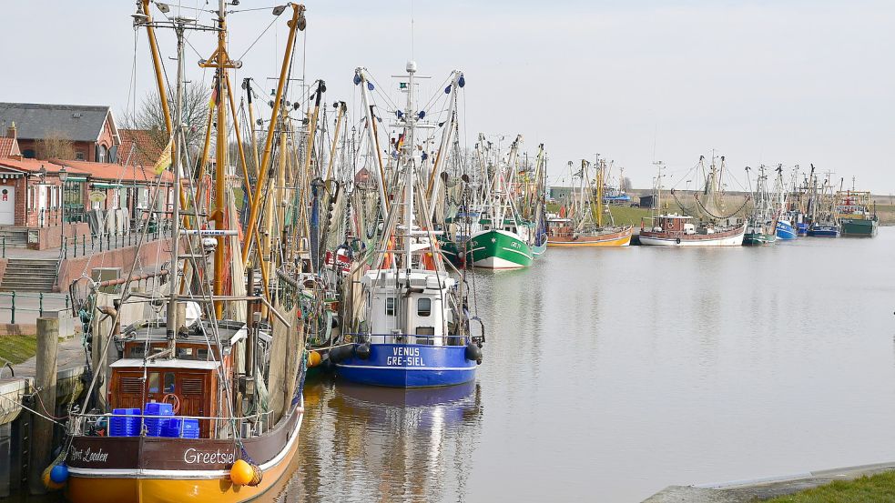 Am Sonnabend lagen laut Gerold Conradi 21 Kutter im Greetsieler Hafen. Das Foto entstand am Sonntag. Fotos: Wagenaar