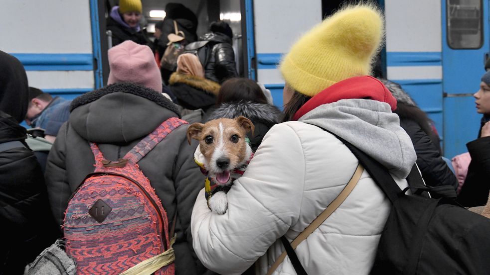 Szenen einer Flucht: Am Bahnhof in Lwiw, Ukraine, versucht eine Frau gemeinsam mit ihren Hund einen Zug in Sicherheit zu besteigen. Foto: ZUMA Press Wire