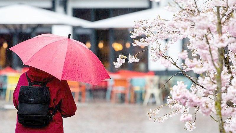 Nach der Kälte bringt uns die neue Woche Regen, Sturm und Tauwetter. Foto: Hauke-Christian Dittrich/dpa