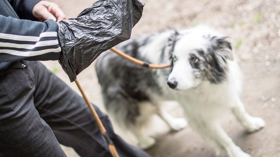 Probleme mit Hundekot gibt es an mehreren Orten in Emden. Symbolfoto: picture alliance/dpa