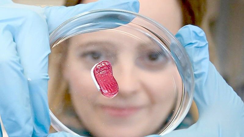 Petra Kluger, Projektleiterin an der Hochschule für angewandte Chemie in Reutlingen, mit einem Stück künstlichem Fleisch. Foto: Bernd Weißbrod/dpa