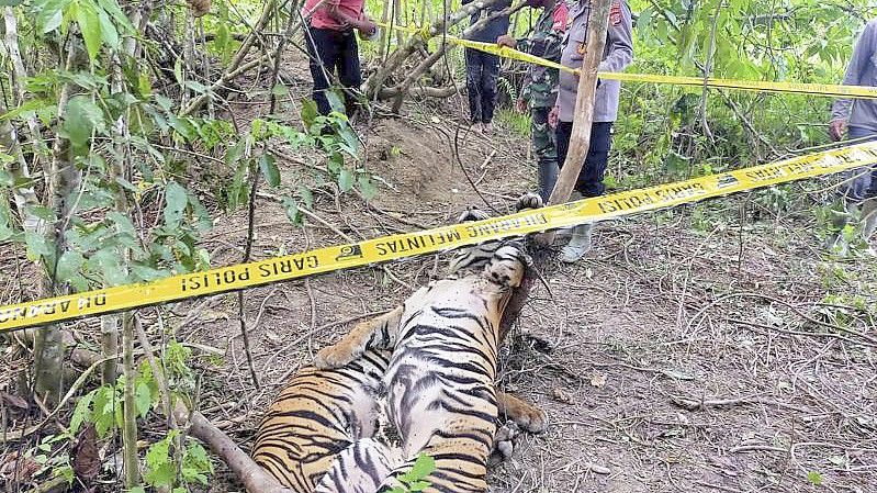 Polizisten sperren den Fundort ab. Foto: East Aceh Police/East Aceh Police/AP/dpa