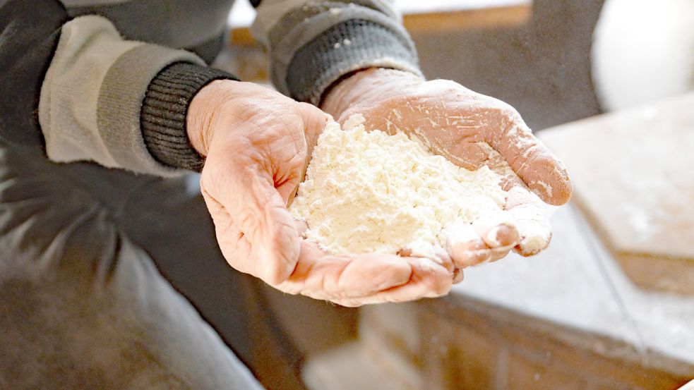 Nach mehreren Siebdurchgängen hält Müller Frerich Bohlen feines Mehl in Händen. Es wird in der Mühle direkt abgefüllt. Foto: Lüppen