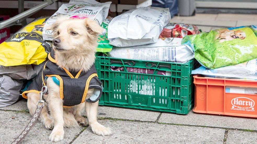 Die Produktion von Tierfutter braucht auch Gas. Foto: Imago images/epd