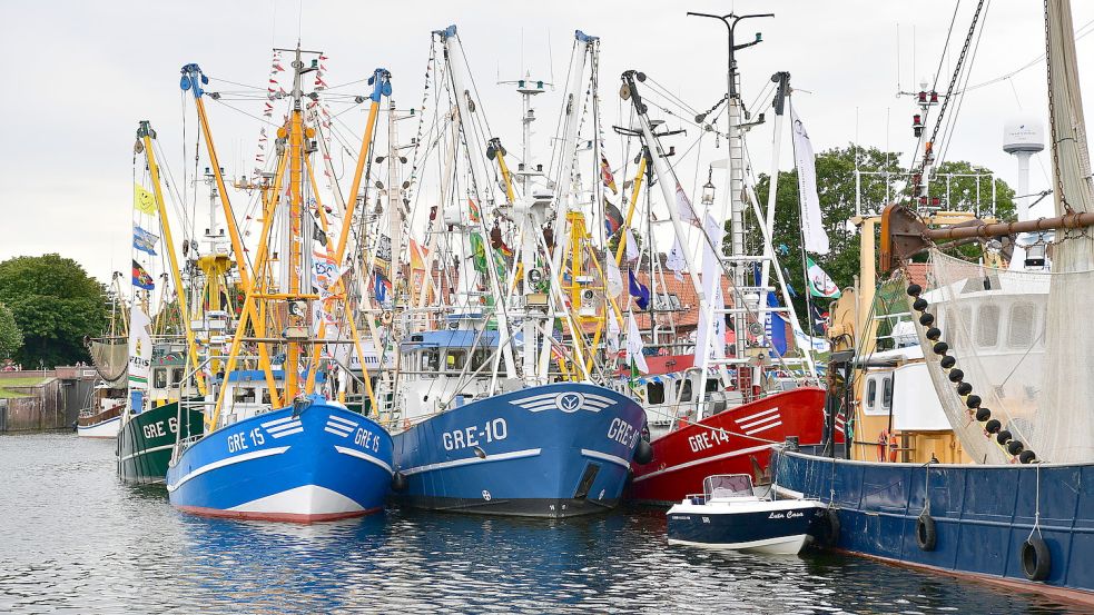 Schon am Freitag lagen die Kutter ordentlich herausgeputzt im Greetsieler Hafen. Foto: Wagenaar