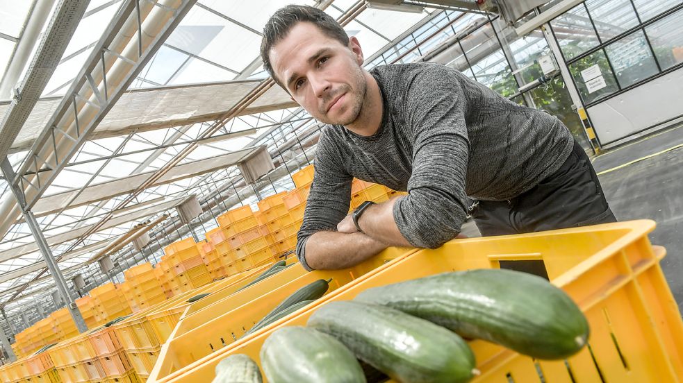 Sebastian Bürger bewirtschaftet mit seiner Frau Jantje Schoenmaker einen Gurkenbetrieb Gärtnersiedlung in Halte. Foto: Ortgies