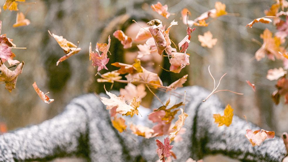 In der ersten Novemberwoche werden in Niedersachsen Temperaturen bis zu 18 Grad erreicht. Foto: Unsplash/Jakob Owens