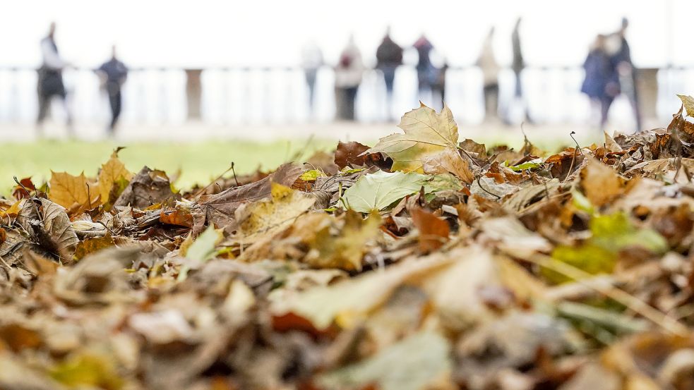 So wird das Wetter in der zweiten Novemberwoche. Foto: picture alliance/dpa /Uwe Anspach