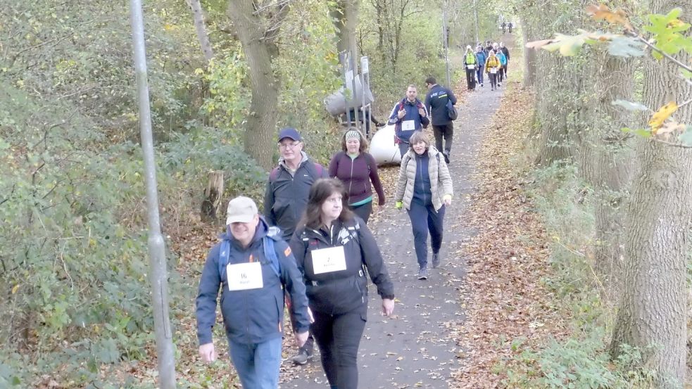 Das Bild zeigt Teilnehmer des Ossiloop-Wandern auf dem Ostfrieslandwanderweg in Loga. Foto: Privat