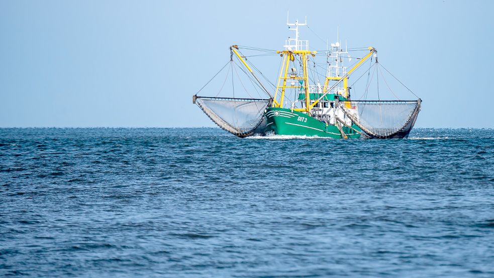 Die Krabbenfischer in der Nordsee sind in Sorge. Foto: Schuldt/dpa