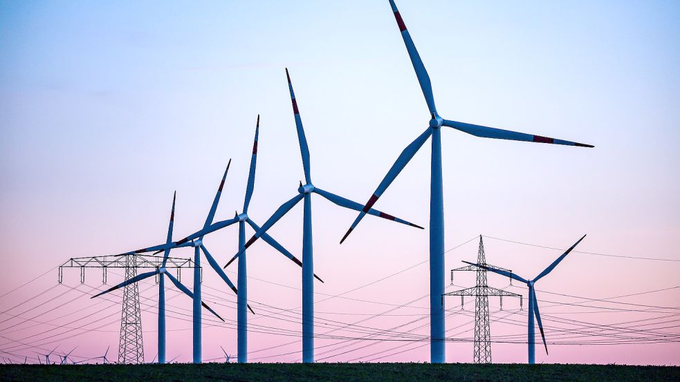 Windräder hinter Stromleitungen Foto: Jan Woitas