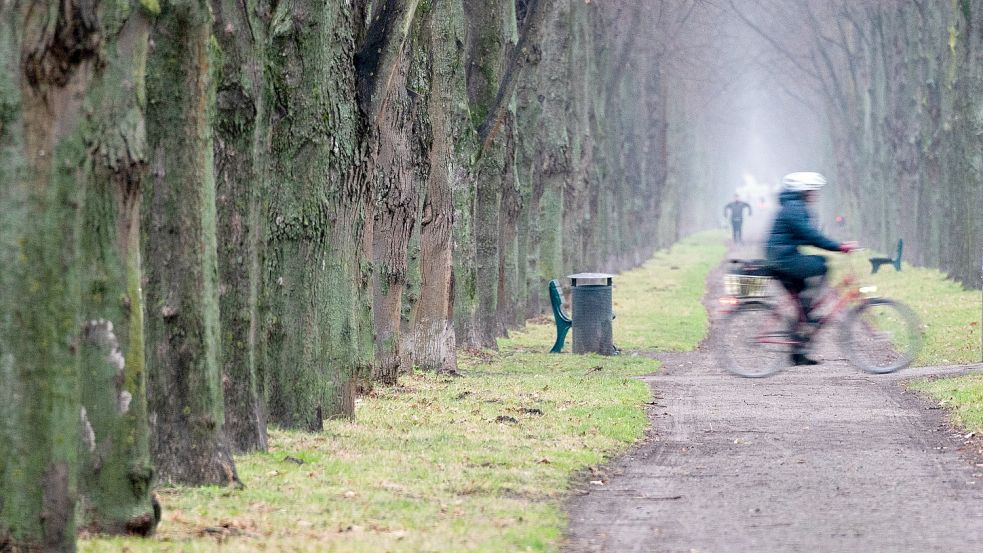 Das Wetter in Niedersachsen bleibt auch in der neuen Woche grau und neblig. Foto: dpa/Julian Stratenschulte