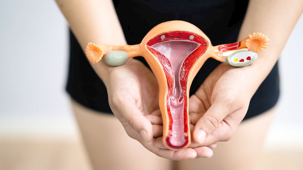 Viele Frauen wollen nicht auf ihre Gebärmutter oder ihre Vagina reduziert werden - und stören sich an den Formulierungen „Menschen mit Uterus“ und „Menschen mit Vagina“, die Pro Familia im Zusammenhang mit Genitalverstümmelung verwendet. Foto: Imago Images/Panthermedia/Andrey Popov