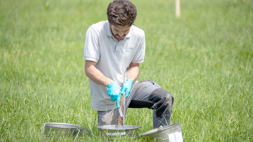 In Deutschland sind erschreckend viele Orte durch sogenannte PFAS belastet, wie unter anderem Bodenproben zeigen. Die Chemikalien werden industriell hergestellt und sind besonders langlebig. Auch der Norden ist stark betroffen. Foto: dpa/Daniel Karmann