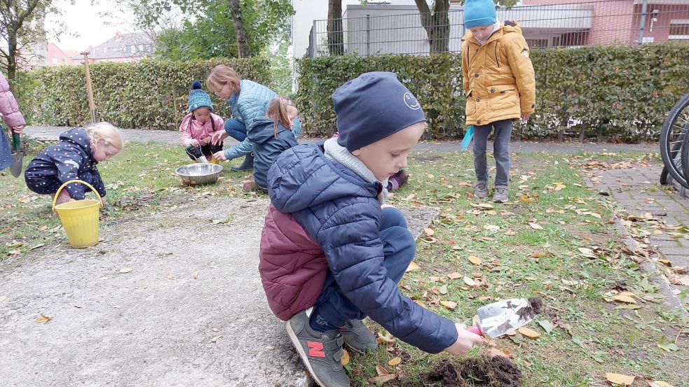 Zum Auftakt von „#emdenmacht“ pflanzten Kinder aus Emder Kitas und Schulen Tausende Blumenzwiebeln im Stadtgebiet - wie hier an der Kita Schwabenstraße. Foto: Hanssen/Archiv