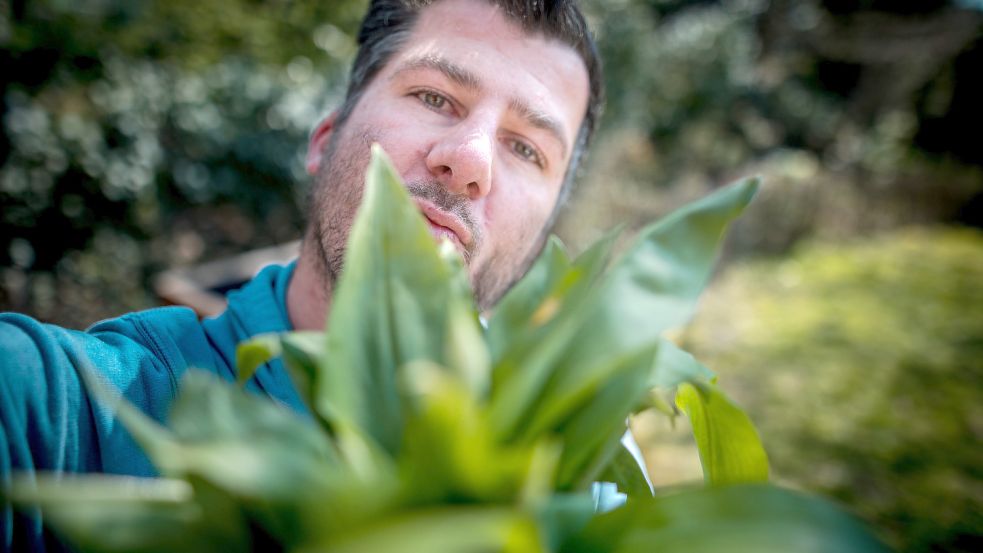 Ole Cordsen muss sich hinter einem Bund Bärlauch nicht verstecken. Fotos: Cordsen