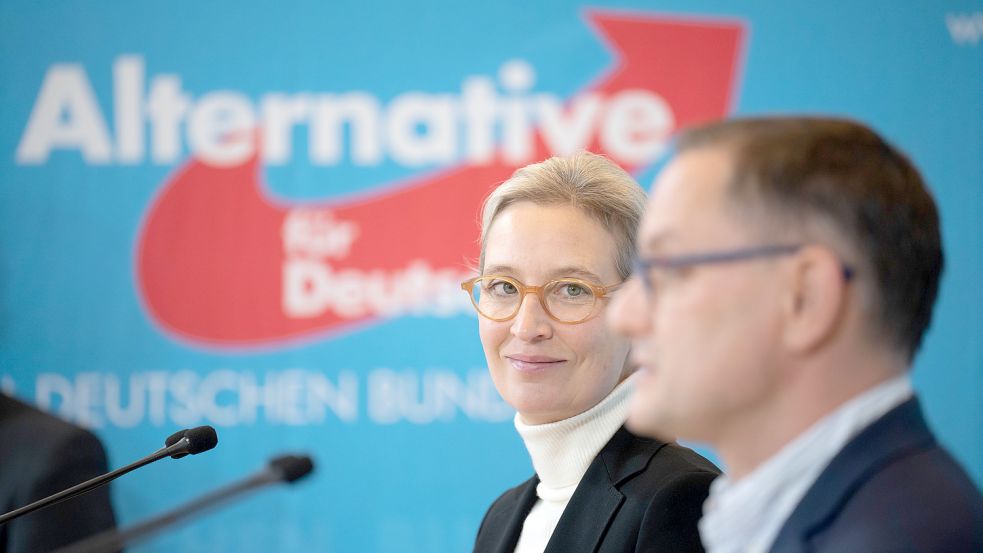 Die AfD-Parteivorsitzenden Alice Weidel und Tino Chrupalla dürften sich über die derzeitigen Umfragewerte freuen. Foto: dpa/Michael Kappeler