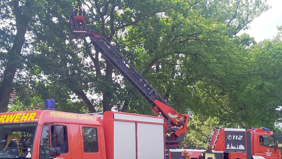 Um den Papagei aus dem Baum zu retten, kam auch die Drehleiter der Feuerwehr Westrhauderfehn zum Einsatz. Vom Korb der Drehleiter aus konnte ein Feuerwehrmann den Vogel einfangen. Foto: Feuerwehr Langholt