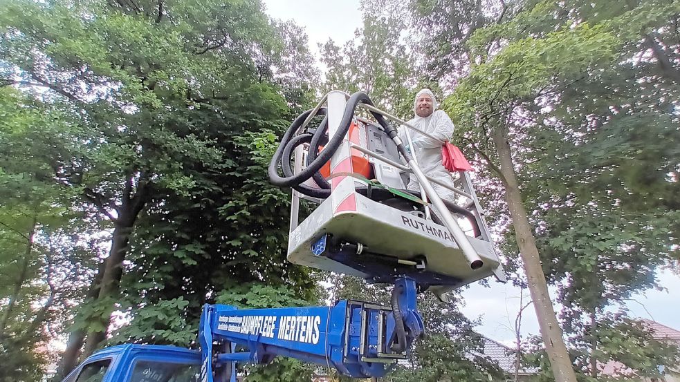 Hebebühne und Spezialsauger im Einsatz. Foto: Vogt/Archiv