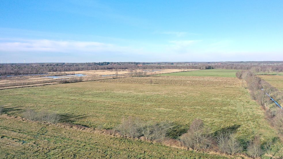 Das Kollrunger Moor aus der Luft. Foto: Steven/Nabu-Station Ostfriesland