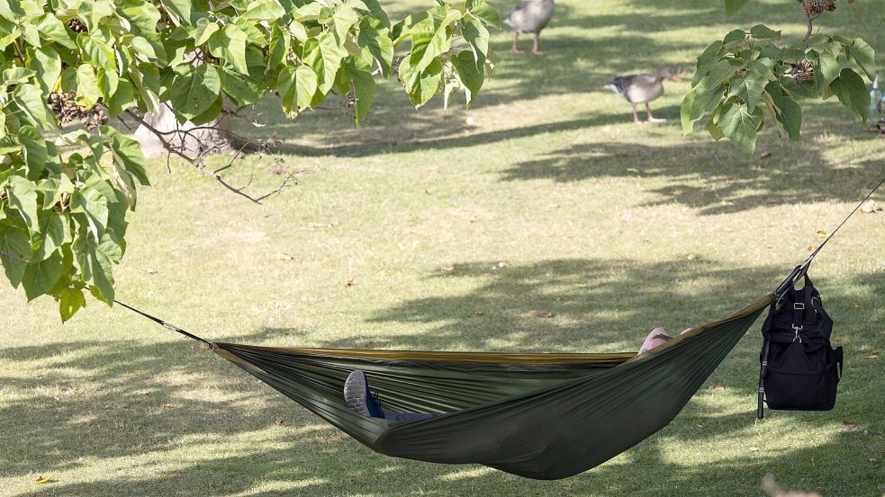 Eine Siesta bietet auch Zeit zum Abhängen – eine Person schaukelt in einer Hängematte. Foto: Albert/dpa