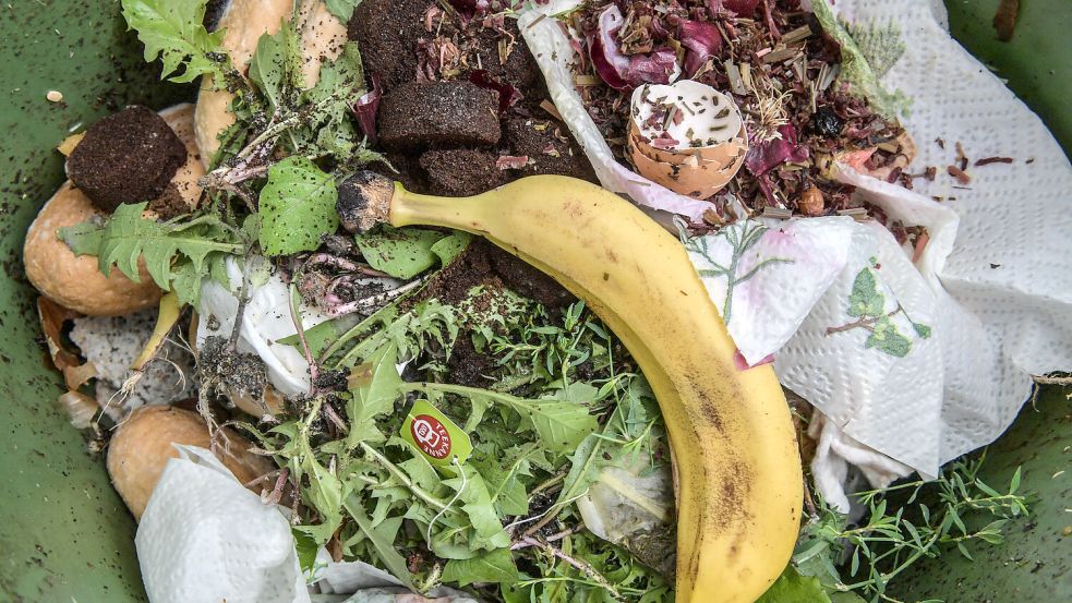 Dieser Biomüll sieht vorbildlich aus, ist es aber nicht ganz. Der Teebeutel ist zwar regulär nicht zu beanstanden, sorgt aber für Feuchtigkeit und begünstigt die Entwicklung von Maden. Foto: Boschbach