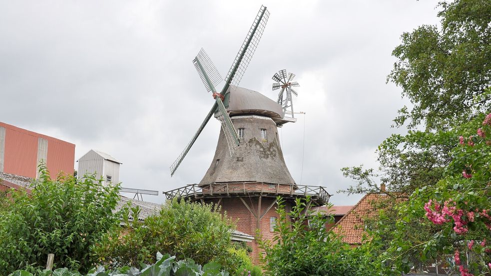 Die Mühle in Westgroßefehn ist die älteste der fünf Mühlen in der Gemeinde Großefehn. Foto: Ullrich