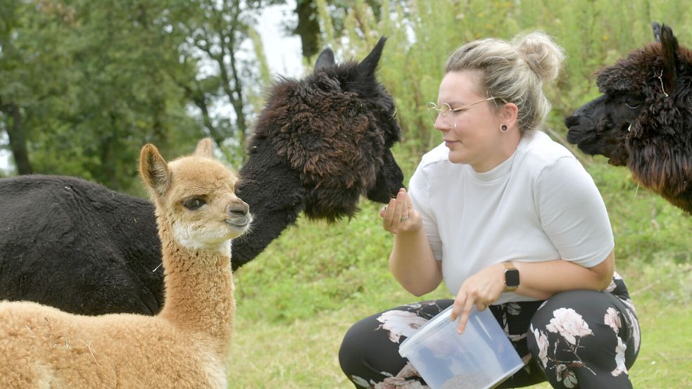 Die kleine Lottje guckt ein wenig misstrauisch in die Kamera. Alpaka-Mutter Giesela frisst Besitzerin Katja Janßen aus der Hand. Fotos: Ortgies