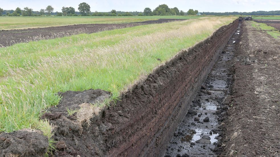 Bis heute wird in Ostfriesland Torf abgebaut. Foto: Archiv/Ortgies