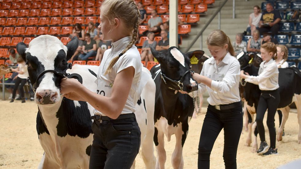 Ein wenig nervös waren sowohl Züchter als auch die Tiere, bevor es in die Ostfriesenhalle und vor die Richterinnen ging. Fotos: Buntjer