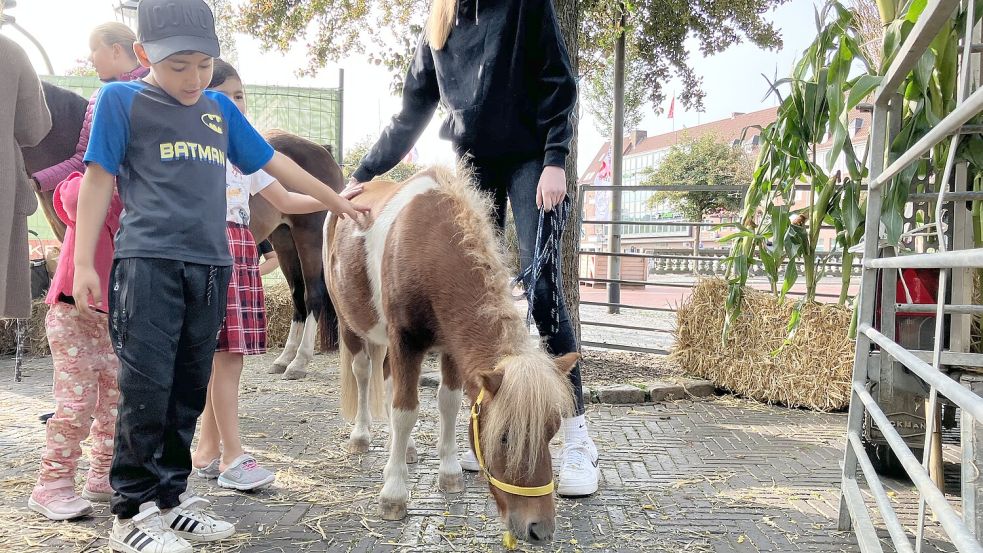 Pony-Streicheln: Da wird auch Batman lammfromm. Foto: Schuurman