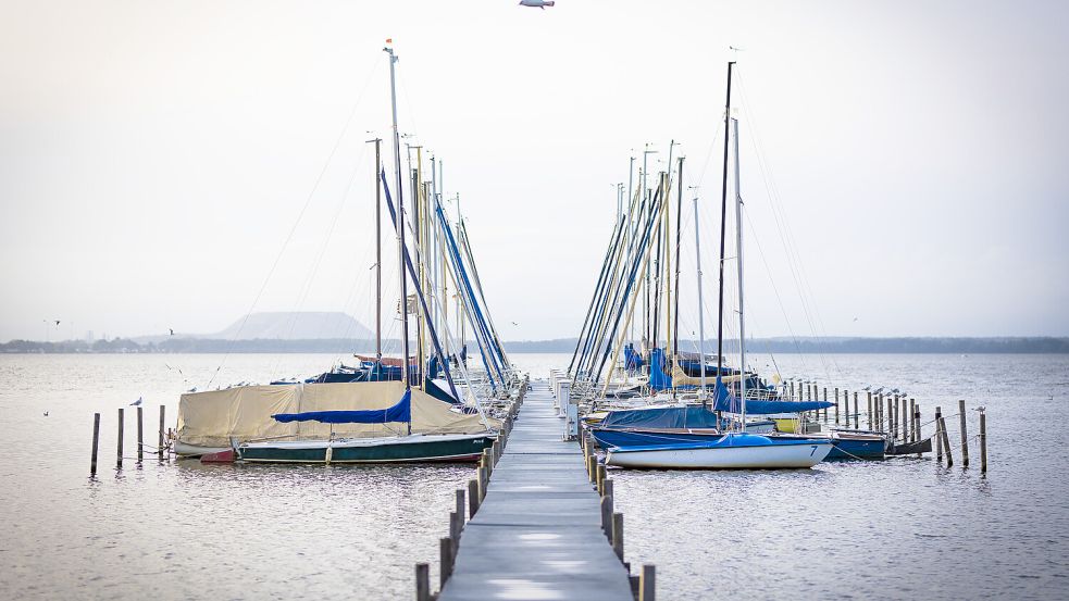 Am Wochenende wird das Wetter nochmal sommerlich. Foto: dpa/Moritz Frankenberg