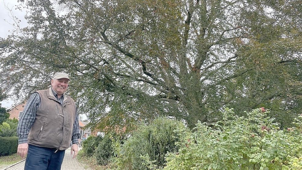 Johann Smid ist stolz auf seine Rotbuche: Sie zu beschneiden wäre eine „Verschandelung“, sagt er. Foto: Weiden