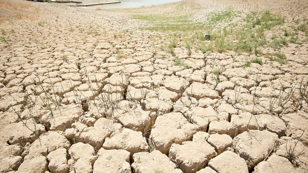 Auch in Europa ist es wärmer als normal. Der Viñuela-Stausees bei Malaga ist durch die anhaltende Dürre fast vollständig ausgetrocknet. Foto: dpa/Felipe Passolas