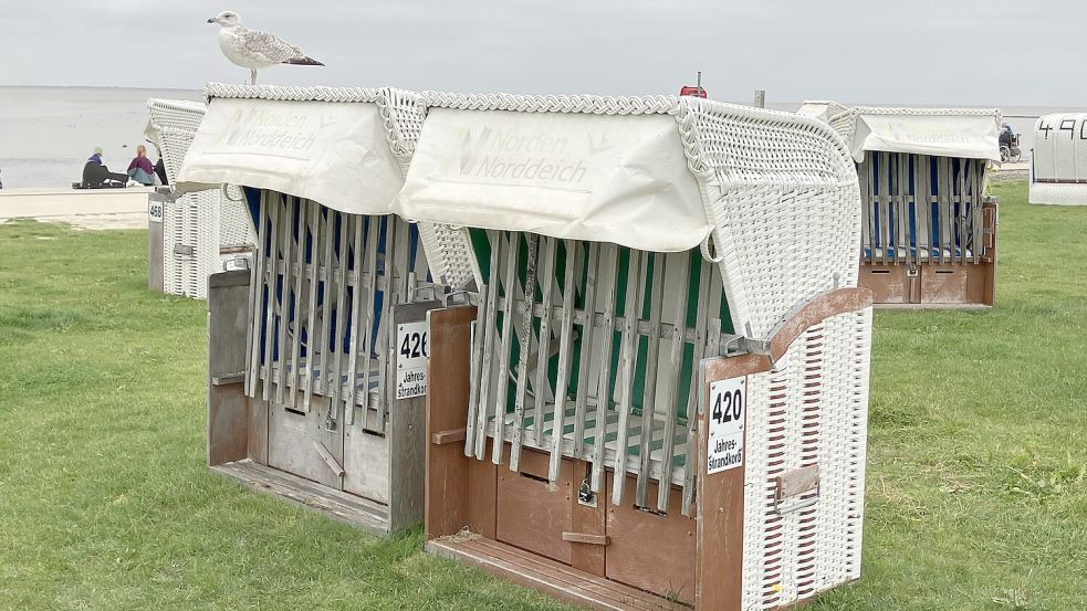 Der Tourismusservice Norddeich will sich von einigen Strandkörben trennen. Foto: Rebecca Kresse