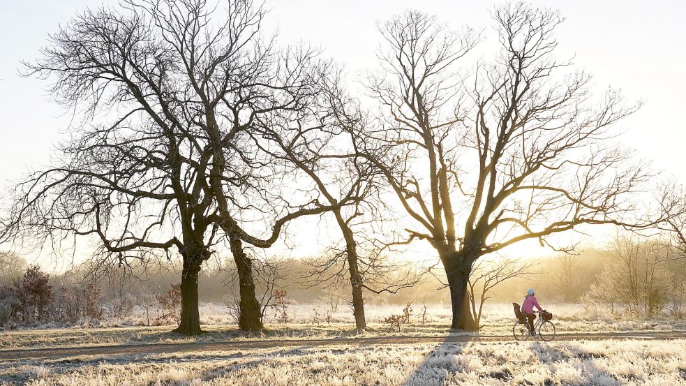 Die Meteorologen des Deutschen Wetterdienstes (DWD) sagen für Niedersachsen eine durchwachsene Woche mit ersten Frostnächten voraus. Foto: dpa/PA Wire/Stefan Rousseau